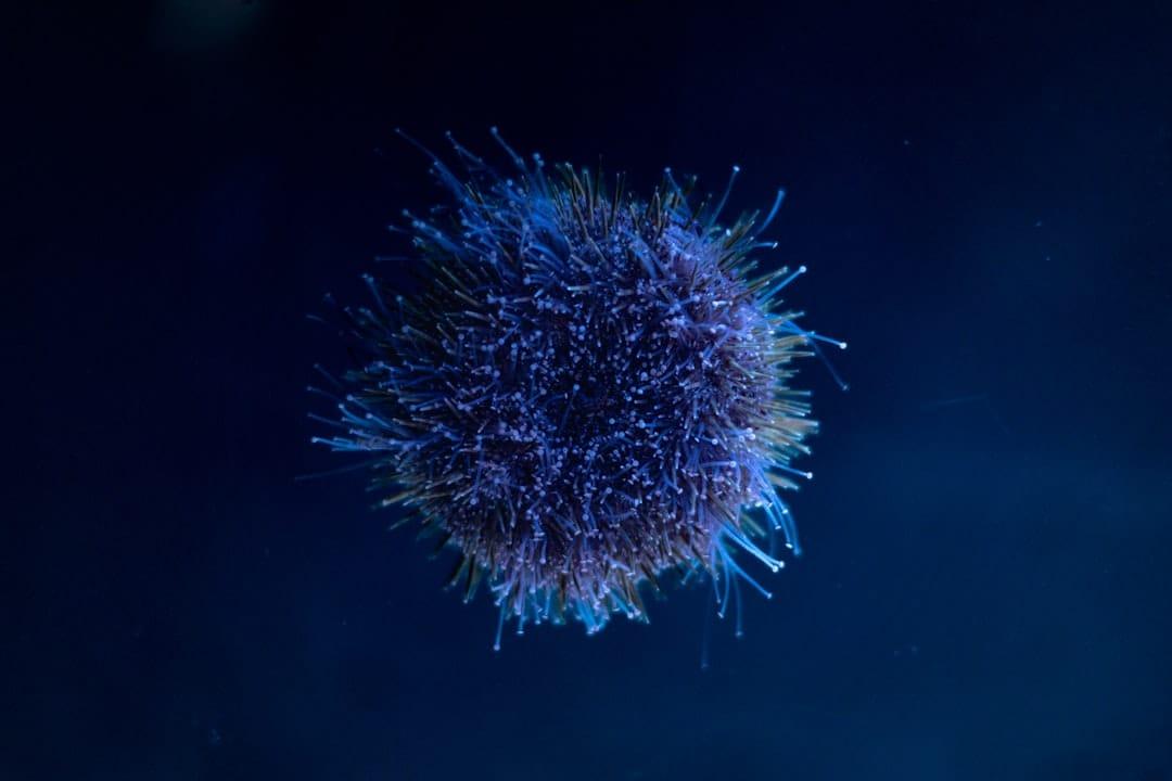 Bağışıklık Yetmezliği Hastalıkları